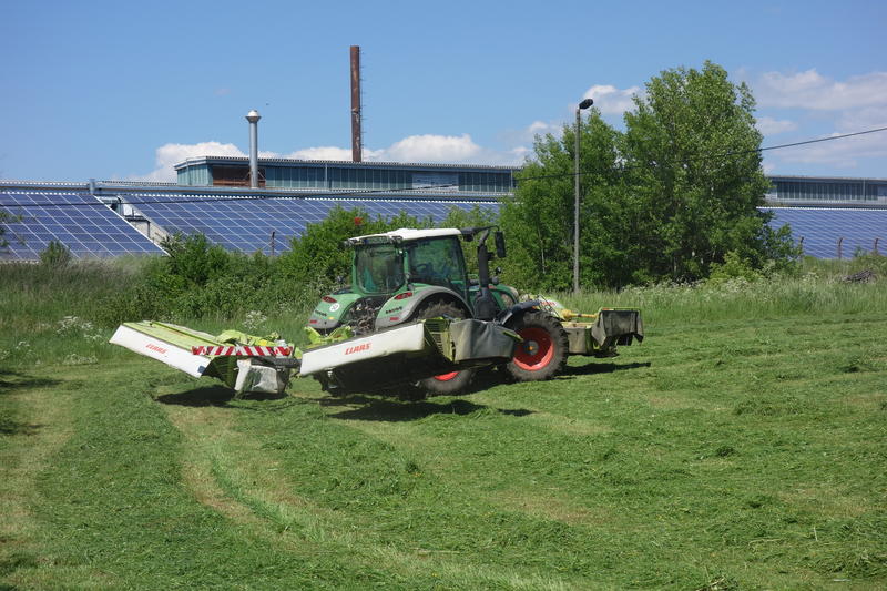 DSC08510.jpg