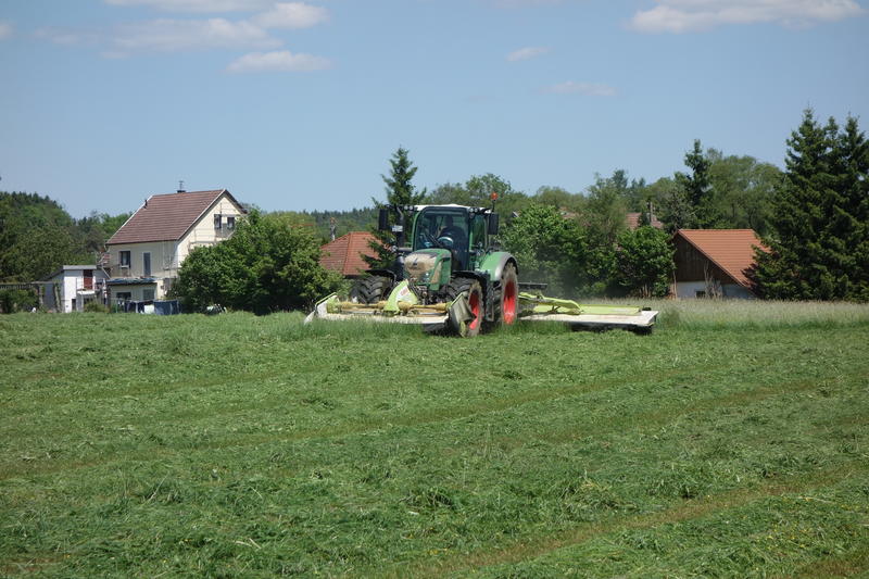 bilder/27_5_2017/DSC08513.jpg