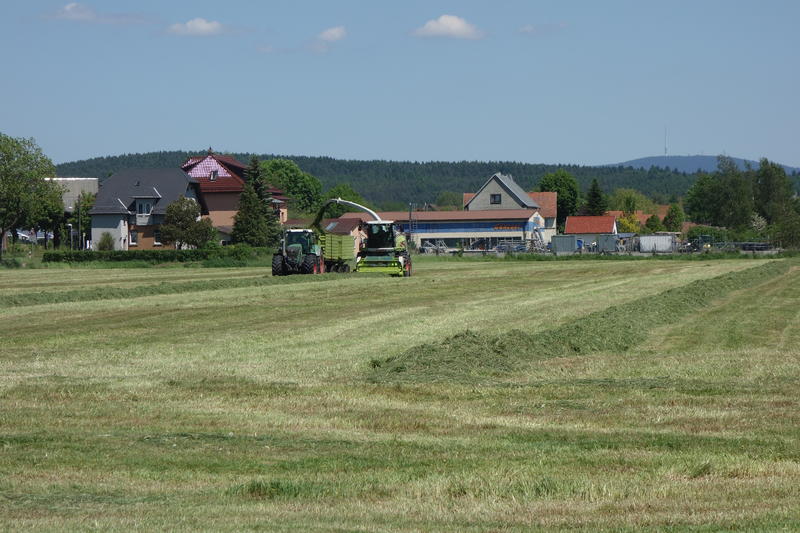 bilder/27_5_2017/DSC08528.jpg