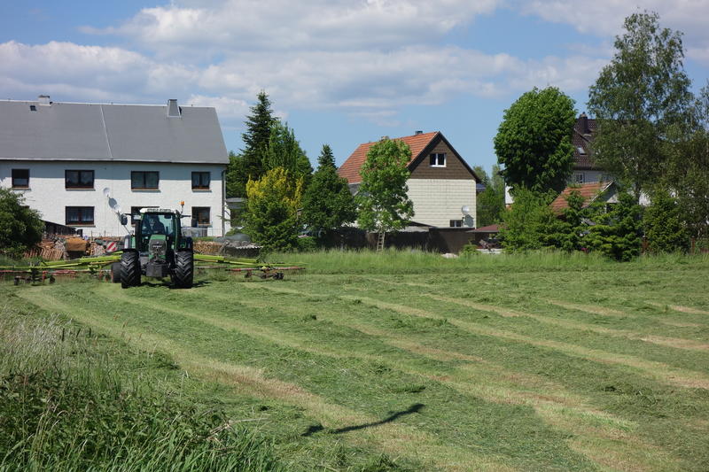 bilder/27_5_2017/DSC08534.jpg