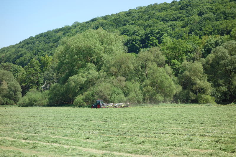 bilder/5_10_2014/CIMG8097.jpg
