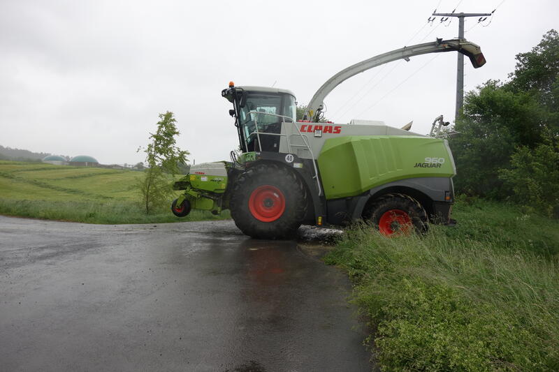 bilder/6_10_2012/CIMG1542.jpg