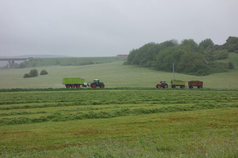 bilder/17_9_2012/CIMG0757.jpg