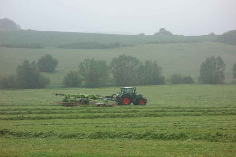 bilder/11_8_2012/CIMG0035.jpg