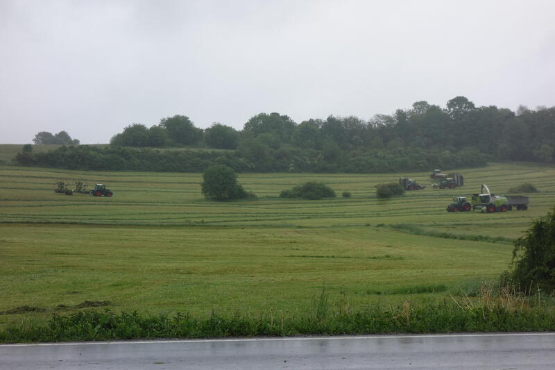 DSC02504.jpg