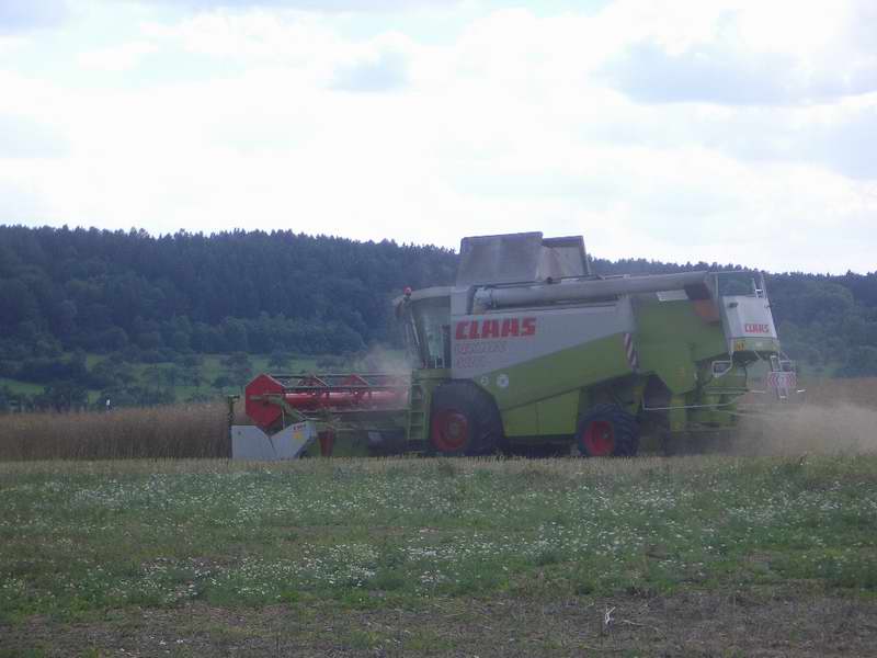 lexion_12.jpg