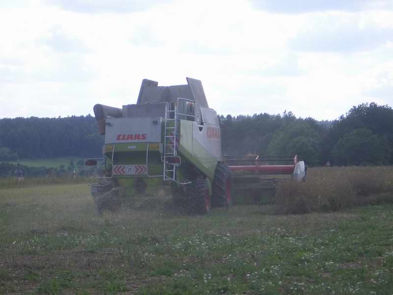 lexion_14.jpg