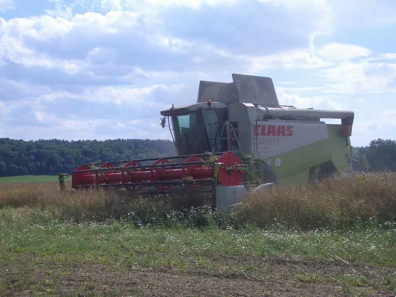 bilder/27_7_2005/lexion_16.jpg
