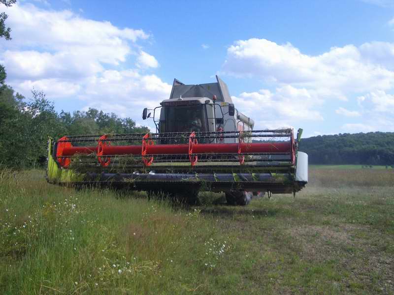 bilder/27_7_2005/lexion_17.jpg