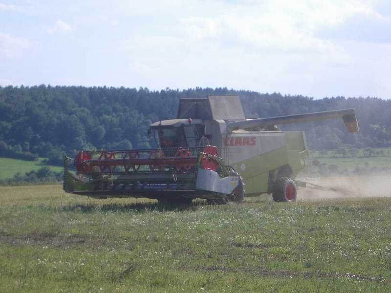 lexion_24.jpg