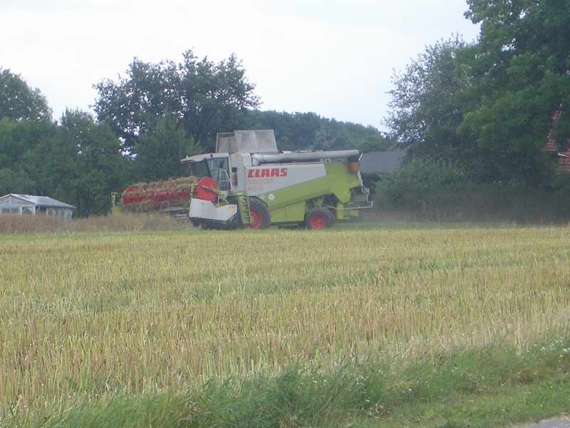 bilder/27_7_2005/lexion_31.jpg