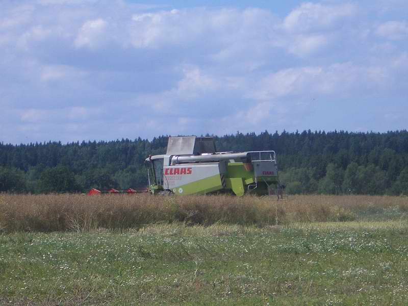 bilder/18_6_2002/zt_303_+_claas_ranger_4.jpg