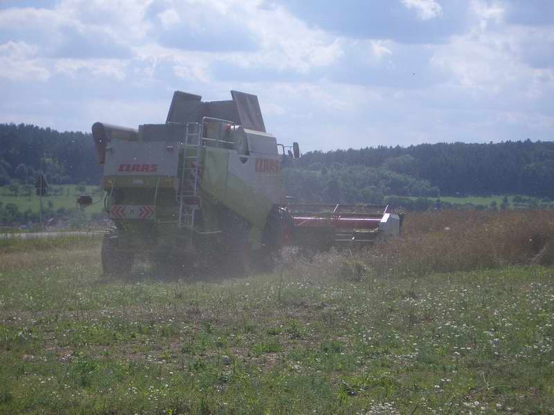 lexion_8.jpg