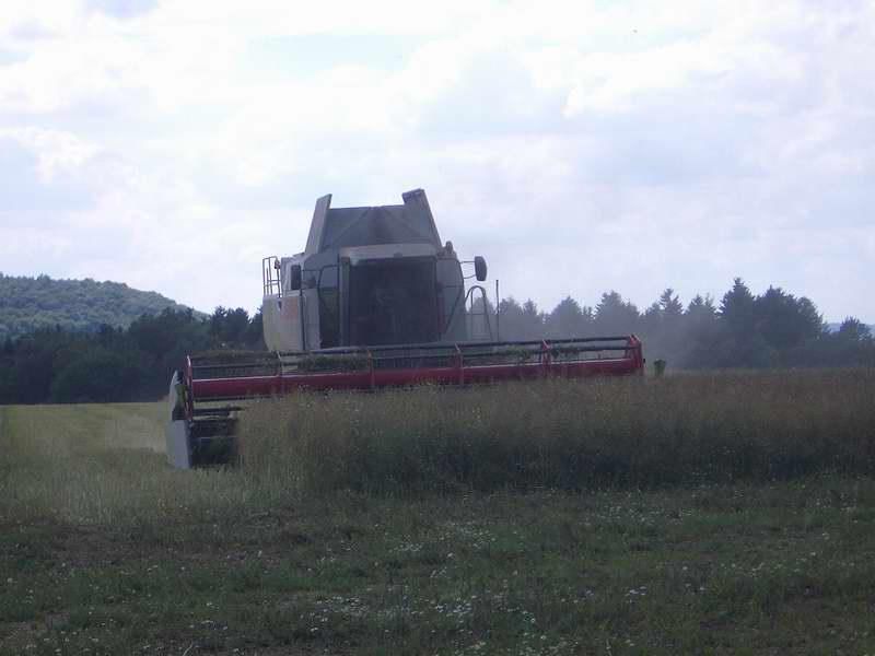 bilder/26_5_2003_2/fendt_716.jpg