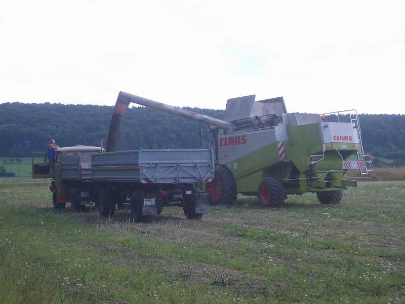 lexion_w50_3.jpg