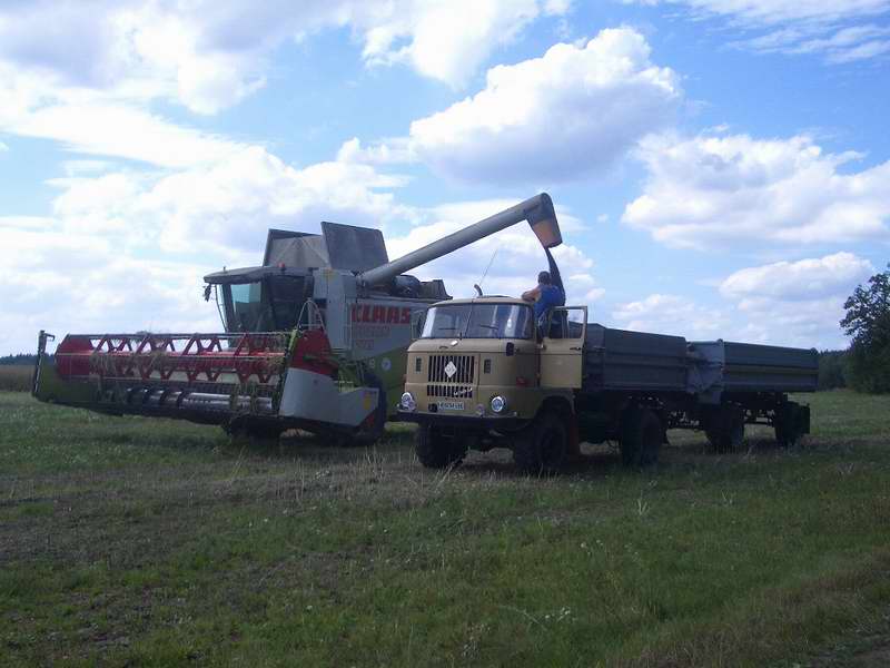 bilder/27_7_2005/lexion_w50_4.jpg