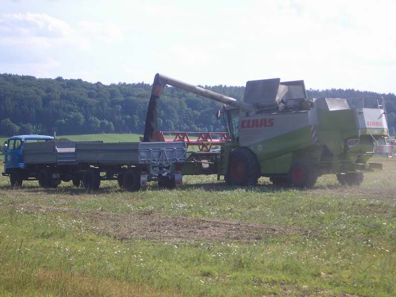 lexion_w50_5.jpg