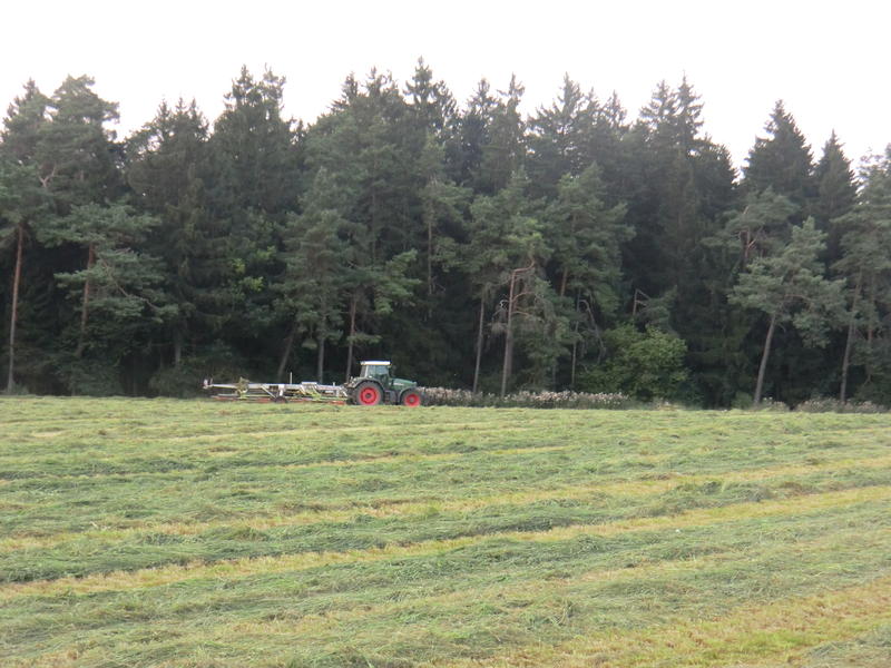 bilder/27_7_2012/CIMG9851.jpg