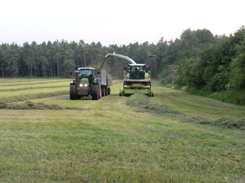bilder/27_7_2012/CIMG9853.jpg
