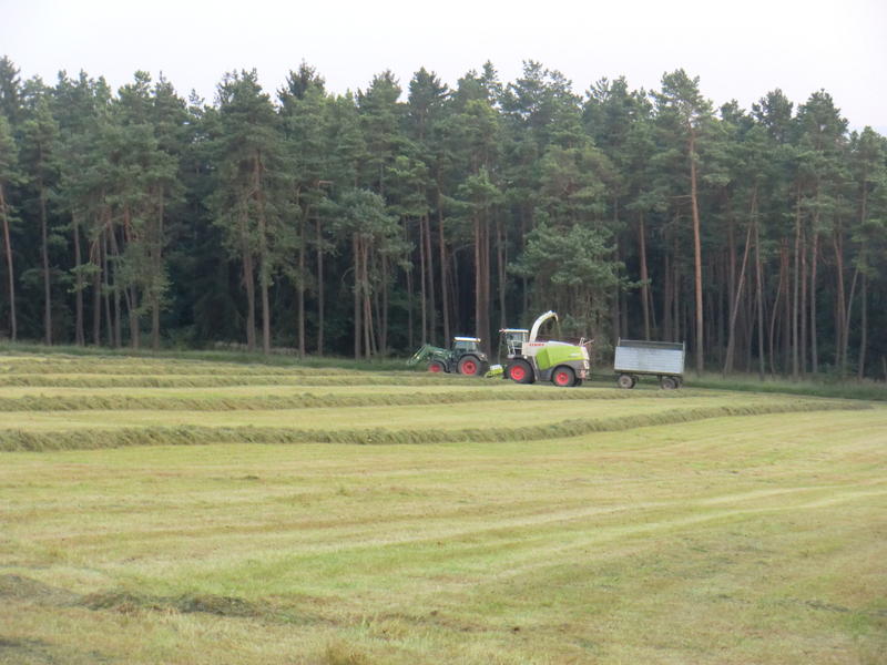 bilder/27_7_2012/CIMG9859.jpg