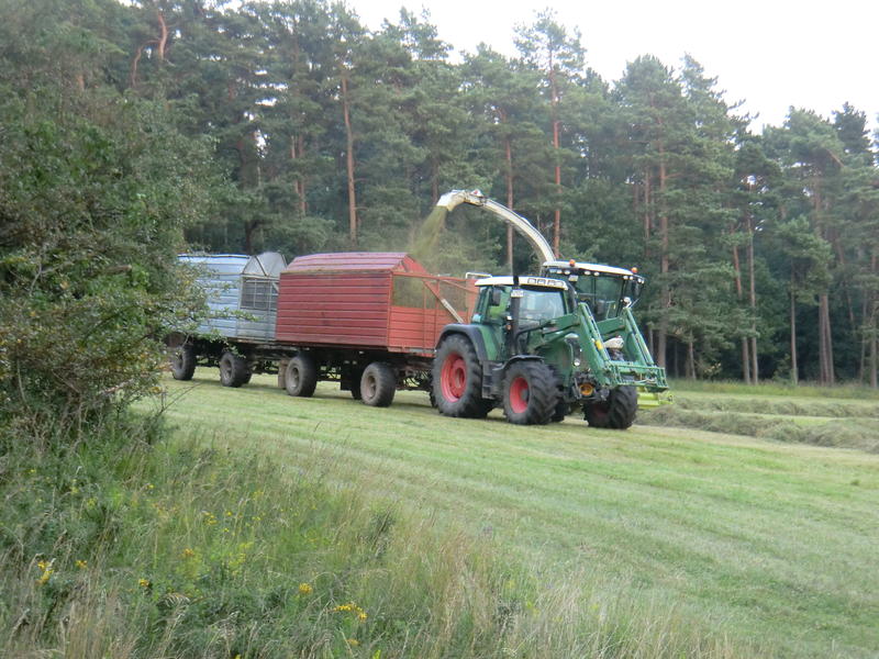 bilder/31_5_2003/jaguar_900_+_fendt_824_3.jpg