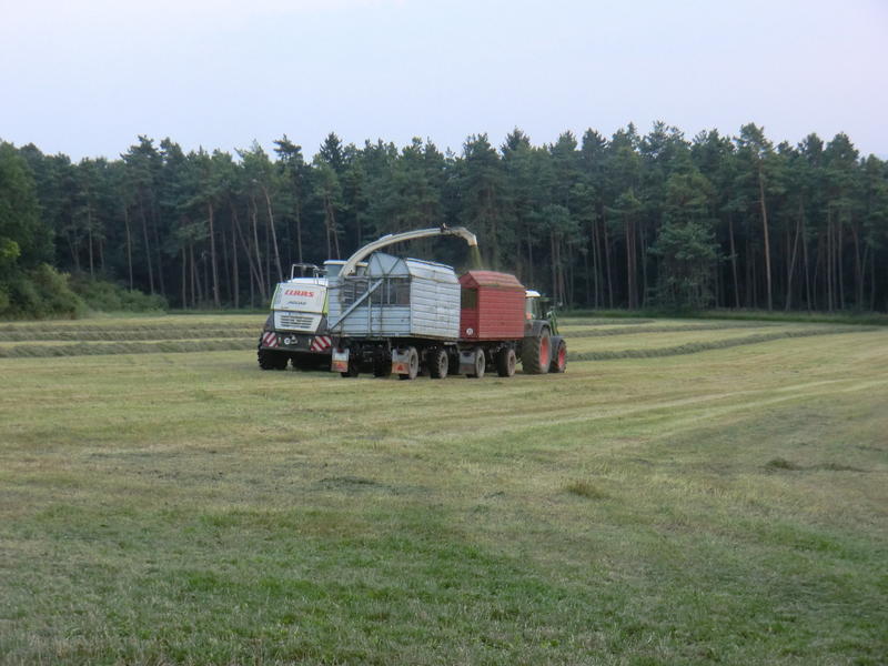 CIMG9867.jpg
