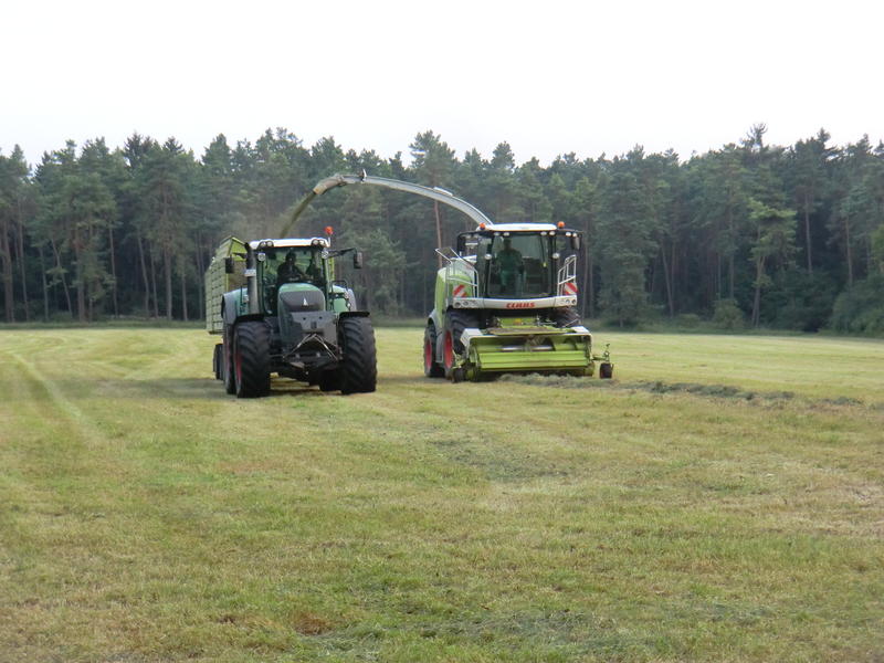 bilder/27_7_2012/CIMG9881.jpg