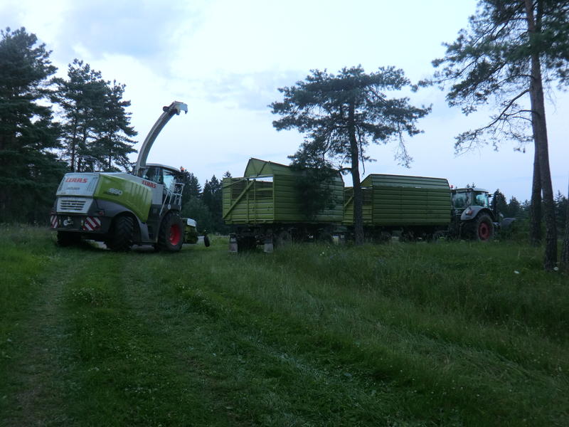 bilder/7_8_2004/lexion_8.jpg
