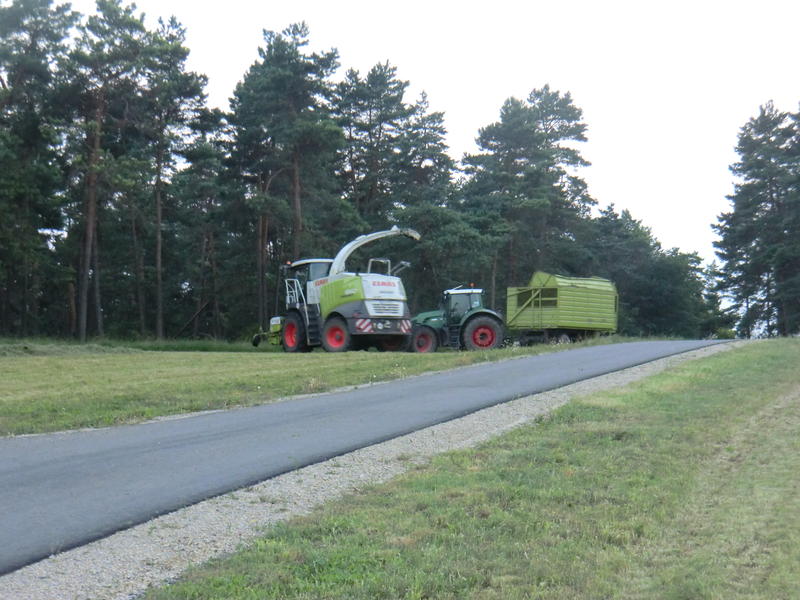 bilder/26_5_2004/jaguar_fendt_2.jpg