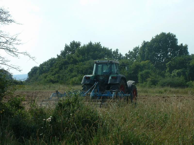 bilder/2024_09_22/DSC09437.jpg
