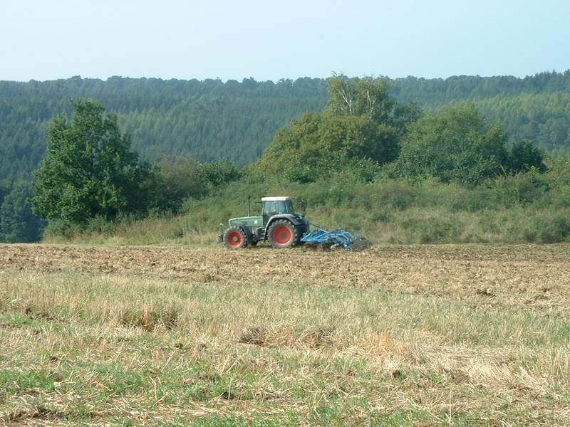 bilder/27_8_2002/fendt_824_5.jpg