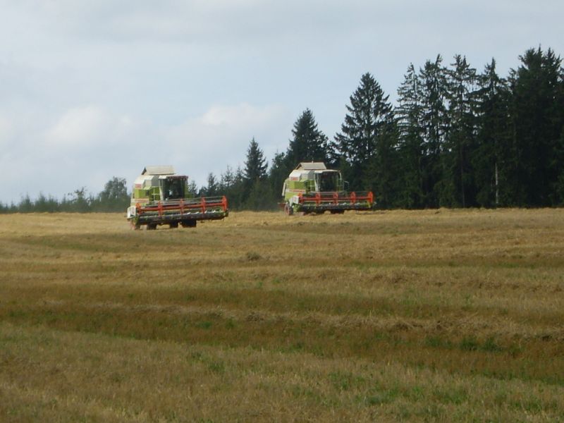 bilder/2024_05_03/DSC07477.jpg