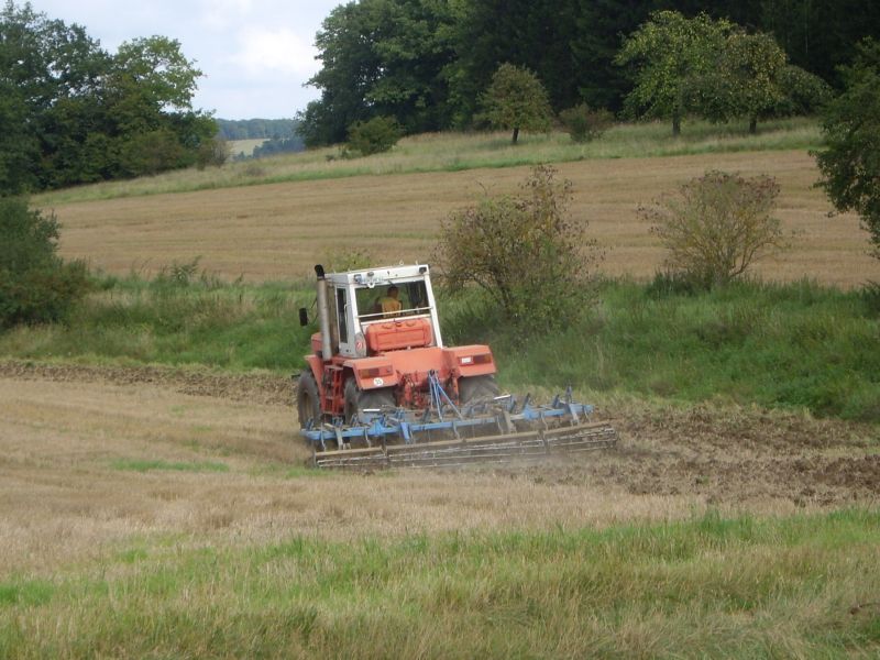 bilder/Fabian/25_7_2006/Claas Mega 218 04.jpg