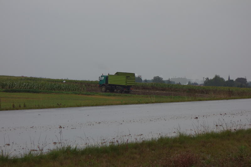 DSC03811.jpg
