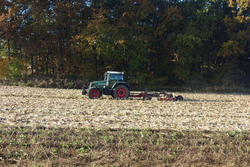 DSC01984.jpg