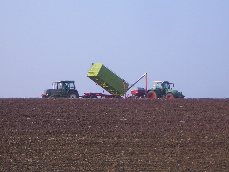 bilder/14_4_2003/zt_303_5.jpg