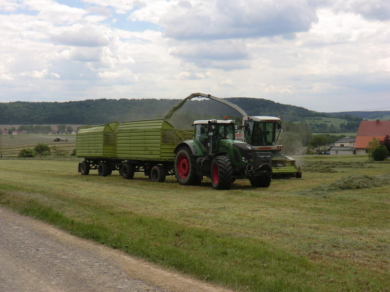 bilder/19_9_2012/CIMG0869.jpg