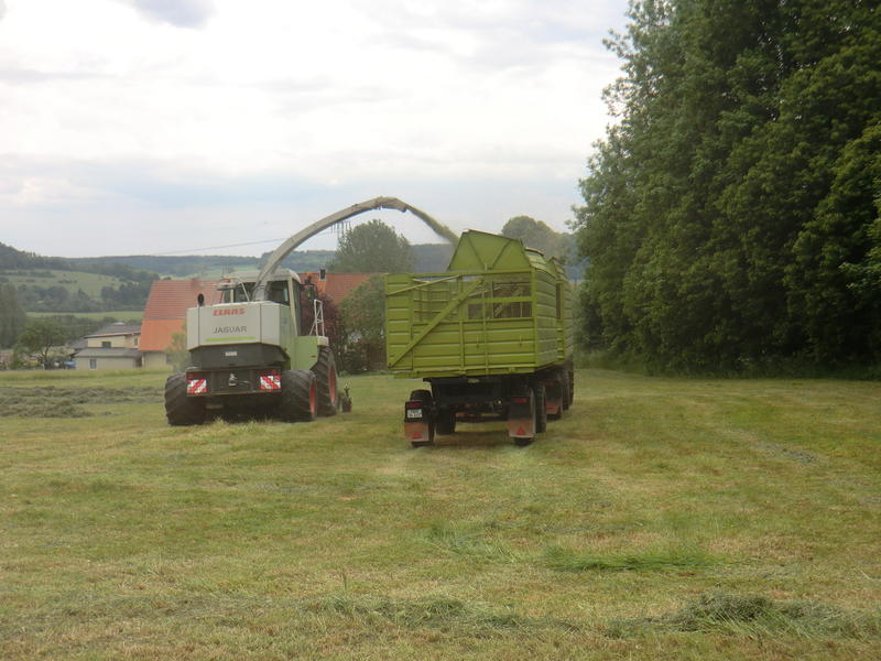 CIMG8512.jpg