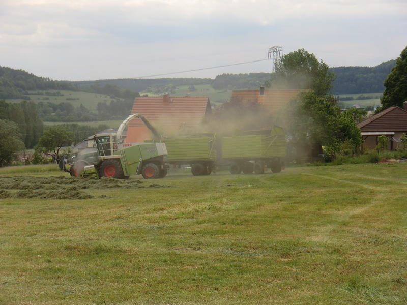 CIMG8513.jpg