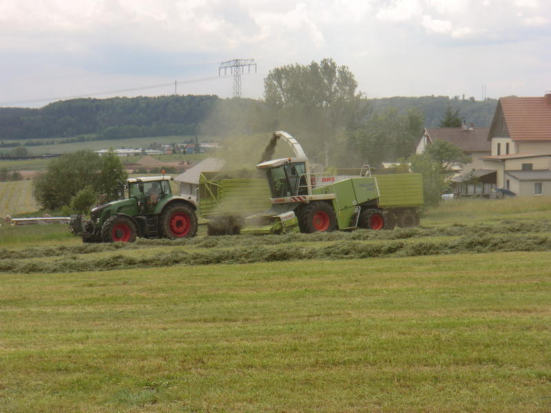 bilder/28_5_2012/CIMG8514.jpg