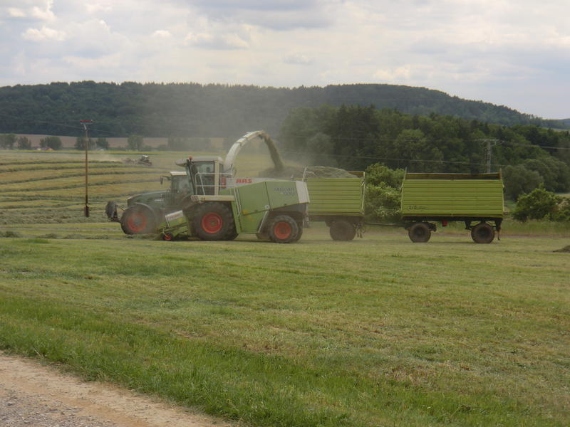 CIMG8515.jpg