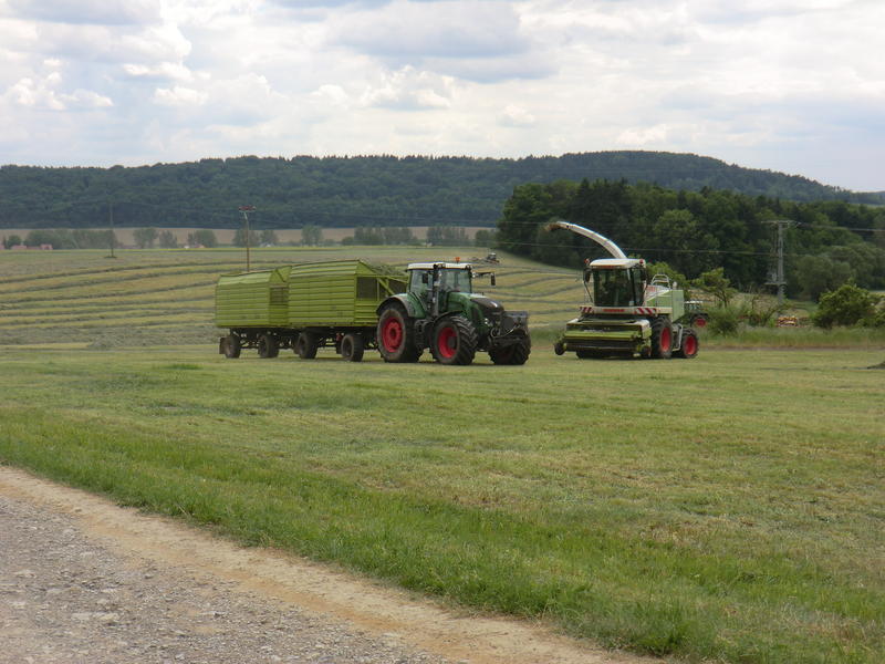 CIMG8517.jpg