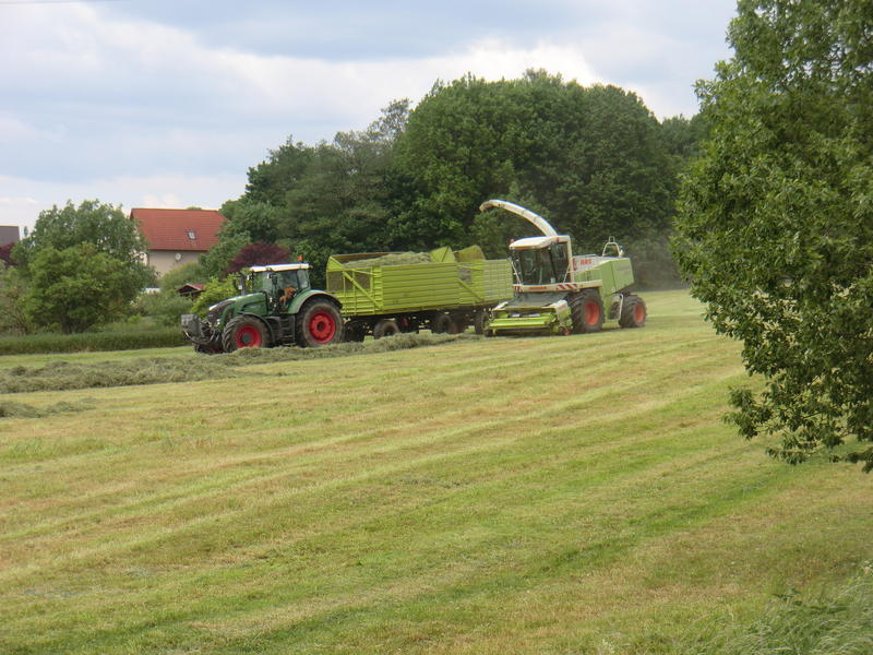 bilder/28_5_2012/CIMG8522.jpg