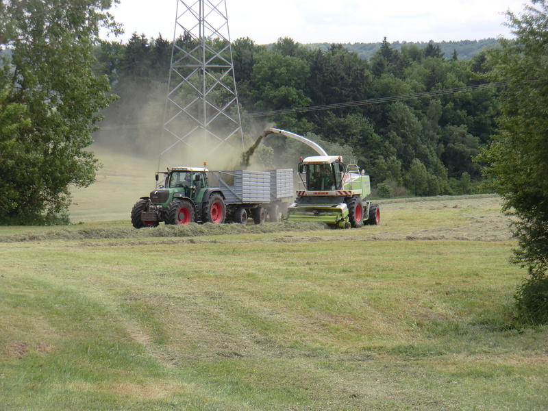 bilder/7_7_2003/xerion_+_zt_303_7.jpg