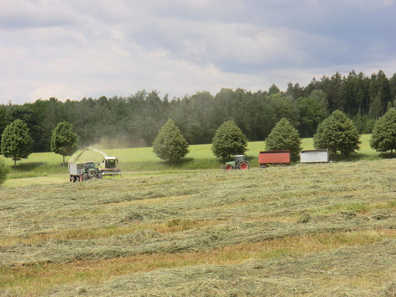 bilder/14_8_2002/fendt_716_11.jpg
