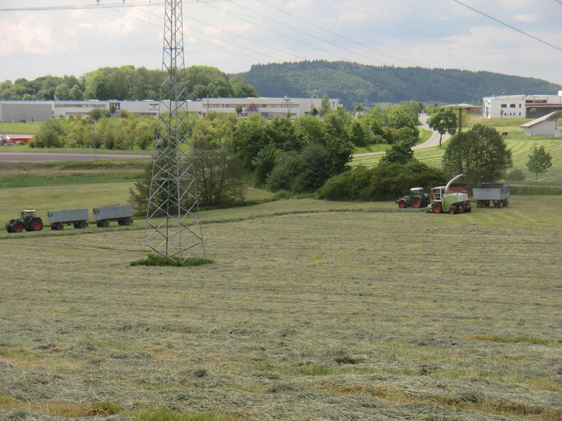 bilder/28_9_2015/DSC02772.jpg
