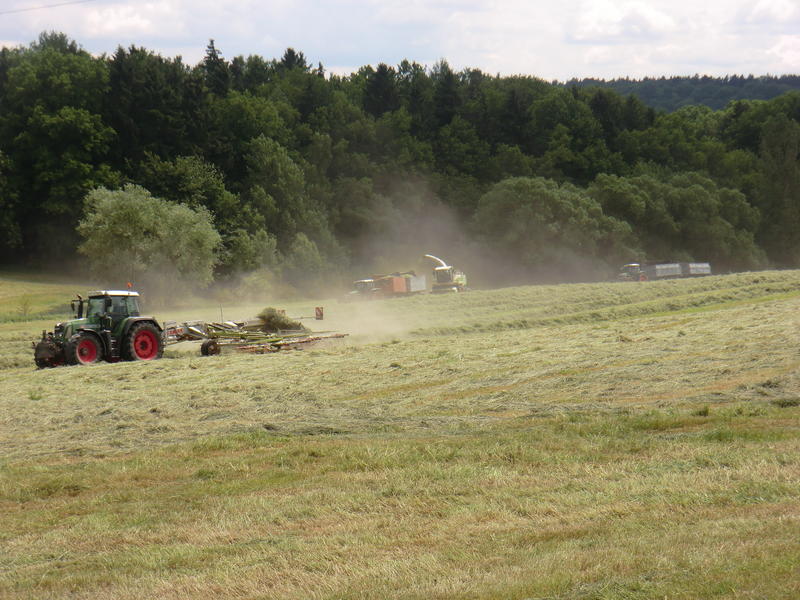 bilder/2_6_2007/P1010608.jpg
