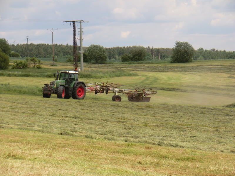 CIMG8545.jpg