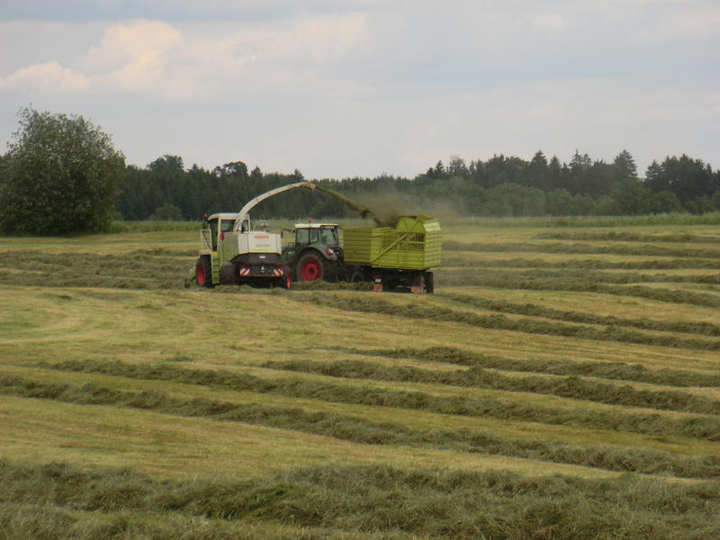 bilder/28_5_2012/CIMG8557.jpg