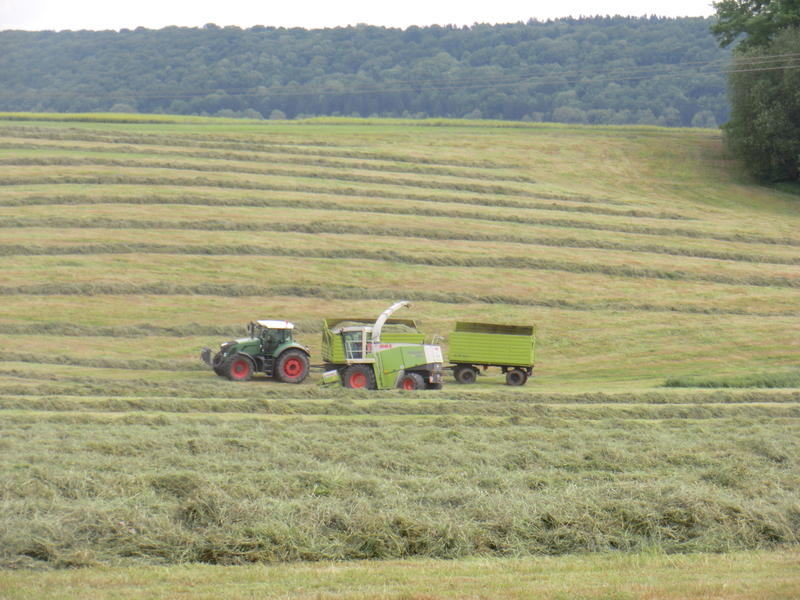 bilder/28_5_2012/CIMG8558.jpg